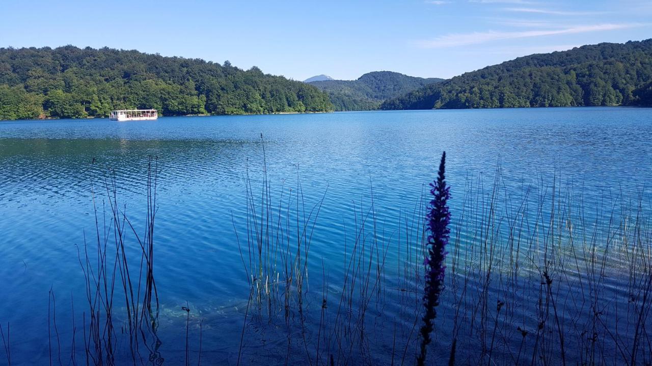 B&B Plitvice Lakes Villa Prica Plitvica selo Bagian luar foto