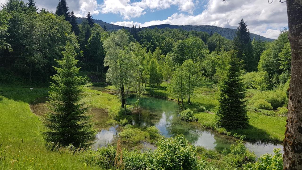 B&B Plitvice Lakes Villa Prica Plitvica selo Bagian luar foto