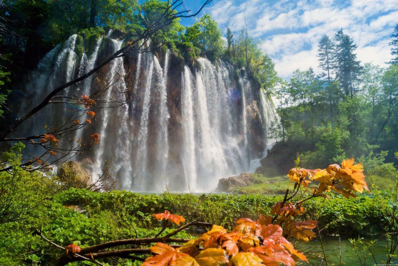 B&B Plitvice Lakes Villa Prica Plitvica selo Bagian luar foto